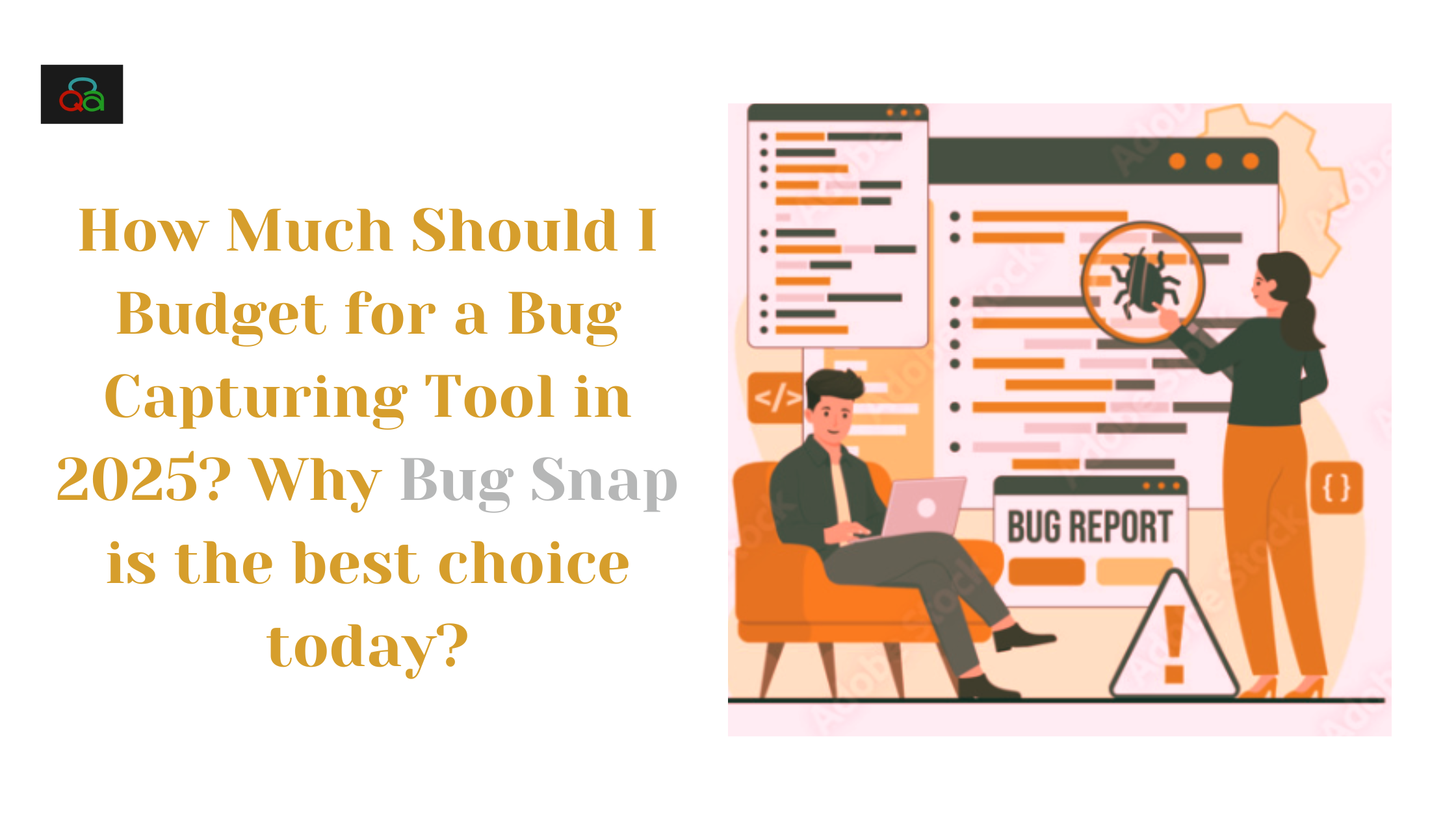 bug capturing tool